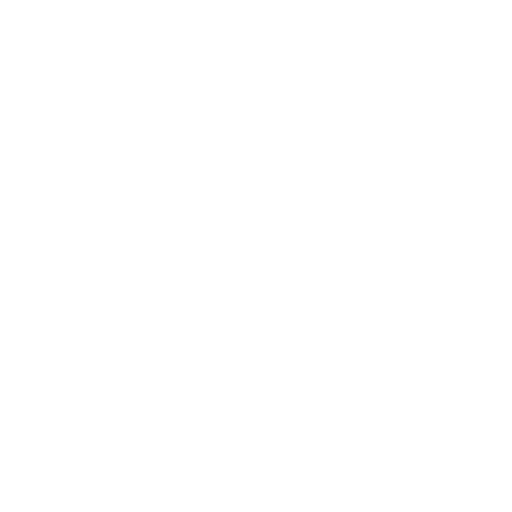 Lone Wolf AI Solutions Logo