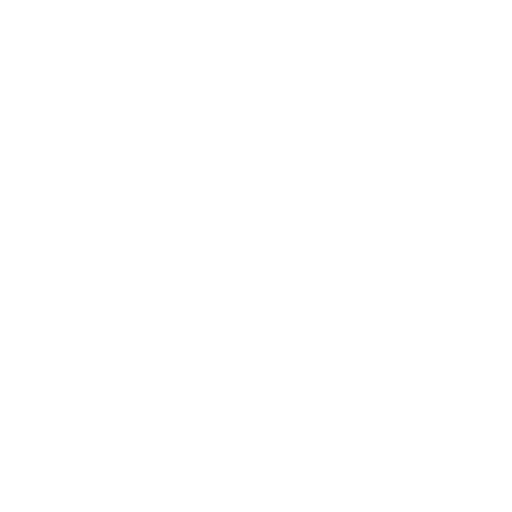 Lonewolf AI Solutions