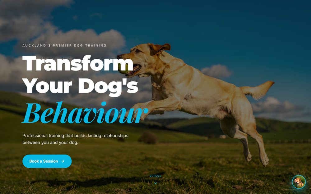 100% K9 website