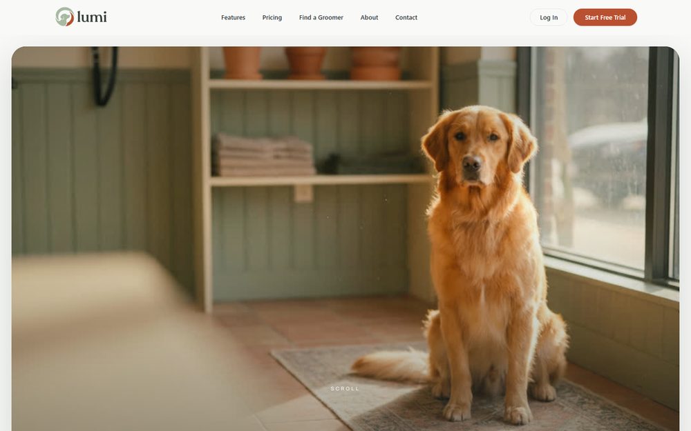 Lumi website